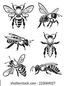 monochrome design of six bees