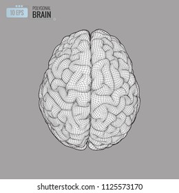 19,082 Brain top view Images, Stock Photos & Vectors | Shutterstock