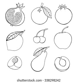 Monochrome Doodle set of different fruits isolated on white background