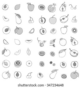 Monochrome  Doodle set of different fruits isolated on white background