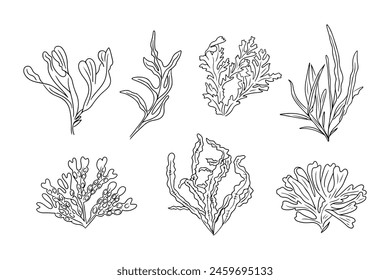 Monochrome doodle set of different seaweeds. Collection of vector sketchy contour drawings isolated on white background. Black outline botanical stickers