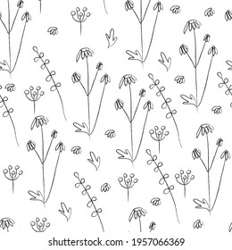 Monochrome doodle sketch of Chamomile seamless pattern with outline black flowers and leaves on white background. 

