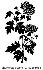 Monochrome drawing of a blooming chrysanthemum on a branch with foliage, Perfect for Poster, Cards and Pattern