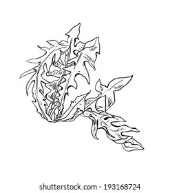 Monochrome drawing grass dandelion