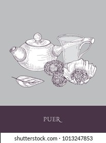 Monochrome drawing of teapot with long handle, transparent glass cup and puer tea leaves on gray background. Delicious Chinese fermented beverage. Vector illustration hand drawn with contour lines.