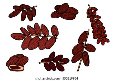 Monochrome Dried fruits. Vector illustration of dates. Vector illustration