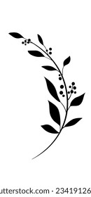 Monochrome elegant floral semicircular branch with leaves and berries. Logo or emblem element for laurel wreaths. hand drawn line wedding herbal leaves for invitation