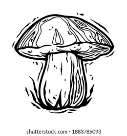 Monochrome element of boletus. Seasonal autumn vector illustration of mushroom for any kinds of design or vegan menu