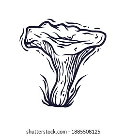 Monochrome element of oyster. Seasonal autumn vector illustration of mushroom for any kinds of design or vegan menu