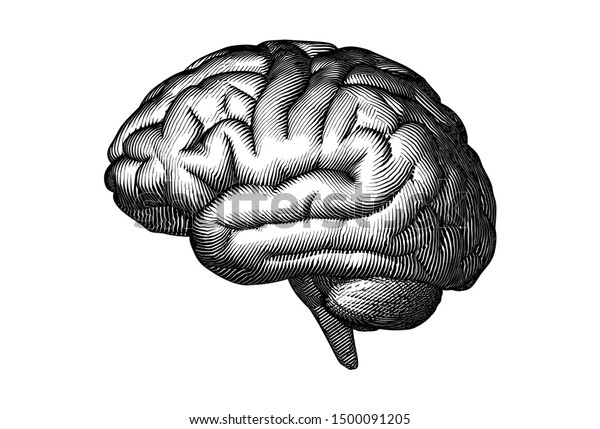 白い背景にモノクロのビンテージで人の脳を横に描き 木版画のスタイル