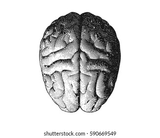19,694 Vintage brain Images, Stock Photos & Vectors | Shutterstock