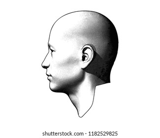 Monochrome engraving drawing bald human head in side view illustration isolated on white background