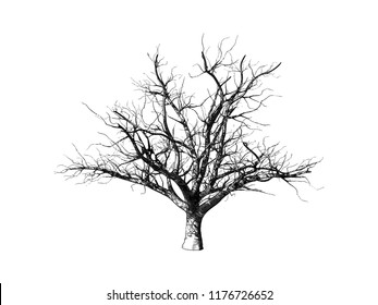 Monochrome engraving drawing dead tree illustration isolated on white background
