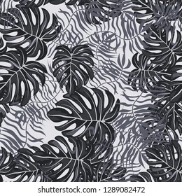 Monochrome exotic seamless pattern with tropical leaves. Black and white leaves. Floral background.