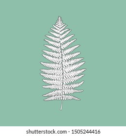 Monochrome fern leaf on a green background. Can be used for postcards, invitations, advertising, web, textile and other.