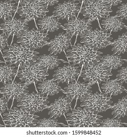Monochrome floral pattern. Hand drawn white chrysanthemum flowers on grey background. Seamless vector backdrop.