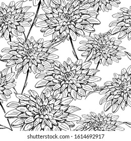 Monochrome floral pattern. Hand drawn black chrysanthemum flowers on a transparent background. Seamless vector backdrop.