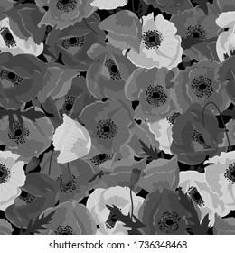 Patrón monocromo floral sin costuras con flores de amapola dibujadas a mano sobre fondo blanco. Ilustración vectorial de material.