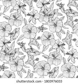 Patrón monocromo floral sin costuras con flores de hibisco dibujadas a mano sobre fondo blanco. Ilustración vectorial de material.
