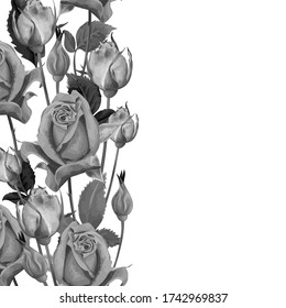 Borde vertical floral monocromo de brotes grises roza flores y hojas sobre un fondo blanco. Copiar espacio. Vintage. Ilustración de material vectorial.