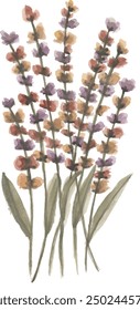 Monochrome flower watercolor illustration clipart design background vector print
