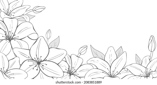 Monochrome flowers on white background. Hand drawn lilies. Horizontal flyer. Vector illustration. Black and white.