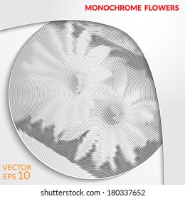 Monochrome flowers. Stylish light background. Vector illustration.