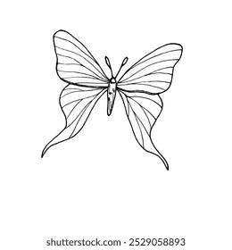 Monochrome fluttering butterfly vector illustration. Black and white drawing of abstract tropical insect painted by inks. Top view. Decorative element for art deco design, tattoo, coloring book.