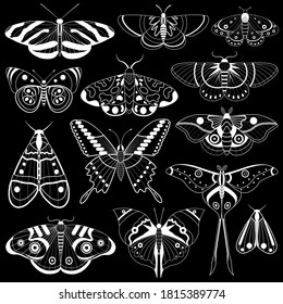 Monochrome flying butterflies and exotic winged insects. Hand-drawn moth silhouettes collection with tropical rainforest Comet-moth, Cinnabar, Milionia basalis, banded Heliconian in outline design.