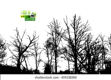 Monochrome forest trees silhouettes. Vector