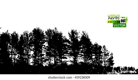 Monochrome forest trees silhouettes. Vector