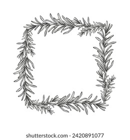 monochrome frame with hand drawn vector illustration of rosemary brunch, black and white inked sketch of herb, spice plant isolated on white background