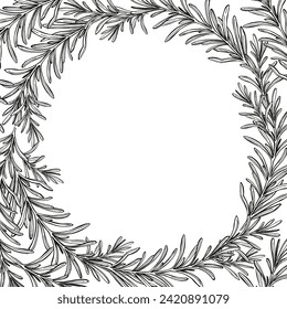 monochrome frame with hand drawn vector illustration of rosemary brunch, black and white inked sketch of herb, spice plant isolated on white background