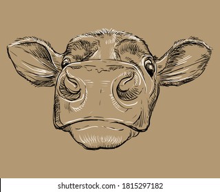 Monochrome funny cow head sketch hand drawn vector illustration isolated on brown background. Vintage illustration of bull for poster, print, t shirt and design.