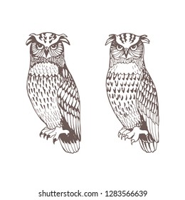 Monochrome graphic vector owls set isolated