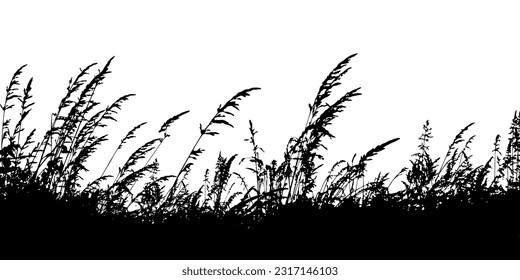 Monochrome grass with flowers. Grass silhouette border silhouette isolated on white background.Vector illustration