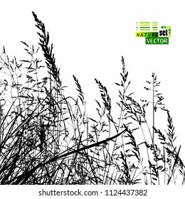 Monochrome grass silhouette background
