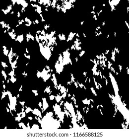 Monochrome Grunge Background. Abstract Black and White Texture with Scratched Lines, Spots and Blobs for Banner, Card, Wallpaper. Vintage Rough Halftone Pattern with Different Elements.