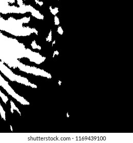 Monochrome Grunge Background. Abstract Black and White Texture with Scratched Lines, Spots and Blobs for Wallpaper, Print, Card. Modern Rough Halftone Pattern with Different Elements.