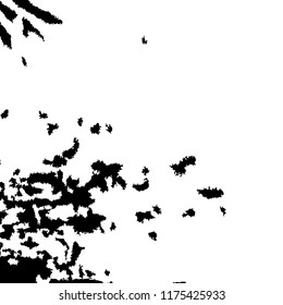 Monochrome Grunge Background. Abstract Black and White Texture with Scratched Lines, Spots and Blobs for Web Applications, Banner, Card. Modern Rough Halftone Pattern with Different Elements.
