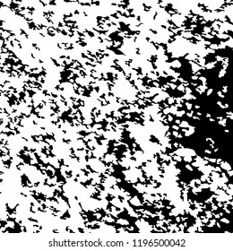 Monochrome Grunge Background. Abstract Black and White Texture with Scratched Lines, Spots and Blobs for Print, Card, Banner. Trendy Rough Halftone Background with Different Elements.
