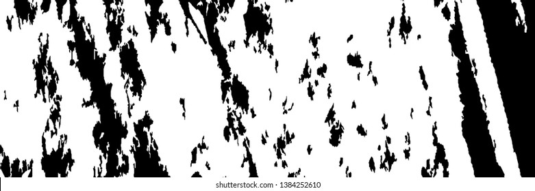 Monochrome Grunge Background. Abstract Black and White Texture with Scratched Lines, Spots and Blobs for Wallpaper, Print, Card. Trendy Rough Halftone Pattern with Different Elements.