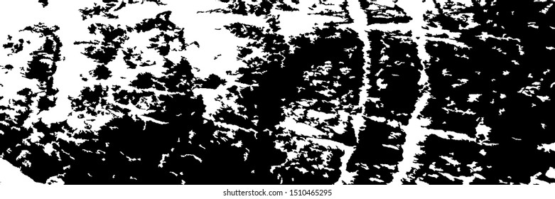 Monochrome Grunge Pattern. Abstract Black and White Texture with Scratched Lines, Spots and Blobs for Print, Card, Banner. Vintage Rough Halftone Background with Different Elements.