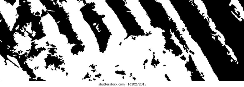 Monochrome Grunge Pattern. Abstract Black and White Texture with Scratched Lines, Spots and Blobs for Web Applications, Banner, Card. Modern Rough Halftone Background with Different Elements.