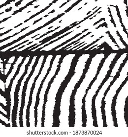 Monochrome Grunge Pattern. Grunge Background with Black and White Stripes. Rough Black and White Background. Nature Striped Background for your Design. Rough Arcuate Stripes. Vector Texture.