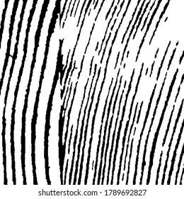 Patrón ondulado monocromo. Tiras Arcuadas Rosas. Textura vectorial. Borde fondo con franjas en blanco y negro. Fondo negro y blanco áspero. Fondo rayado de la naturaleza para su diseño.