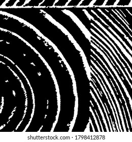 Patrón ondulado monocromo. Tiras Arcuadas Rosas. Textura vectorial. Borde fondo con franjas en blanco y negro. Fondo negro y blanco áspero. Fondo rayado de la naturaleza para su diseño.