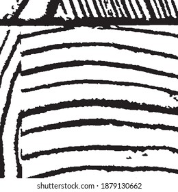 Monochrome Grunge Pattern. Rough Arcuate Stripes. Vector Texture. Nature Striped Background for your Design. Rough Black and White Background. Grunge Background with Black and White Stripes.