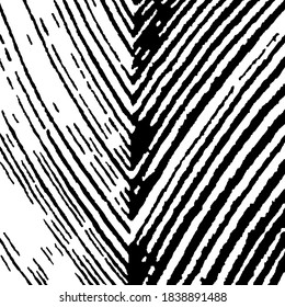 Monochrome Grunge Pattern. Rough Black and White Background. Rough Arcuate Stripes. Vector Texture. Nature Striped Background for your Design. Grunge Background with Black and White Stripes.