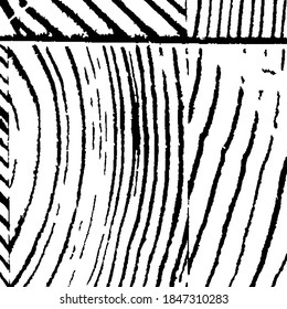 Monochrome Grunge Pattern. Rough Black and White Background. Grunge Background with Black and White Stripes. Rough Arcuate Stripes. Vector Texture. Nature Striped Background for your Design.